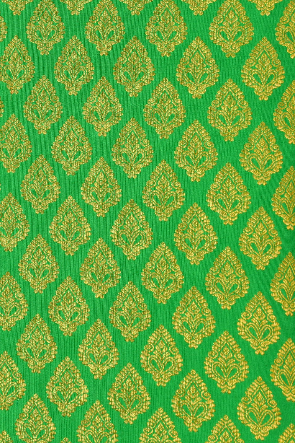 Image of Green Brocade Kanchipattu Saree