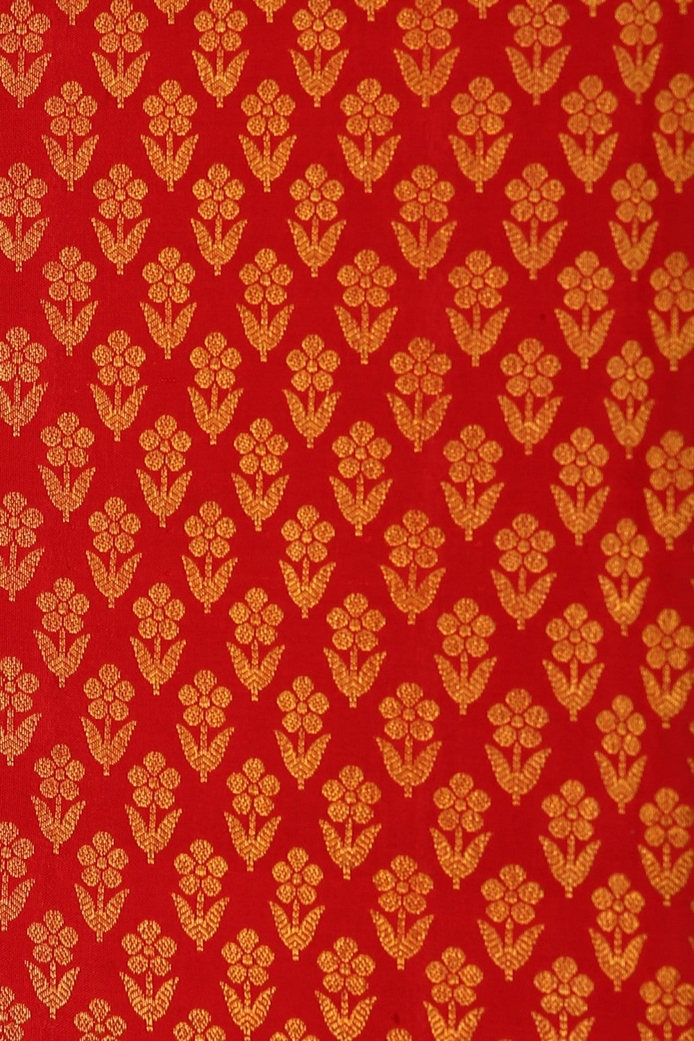 Image of Red Brocade Kanchipattu Saree
