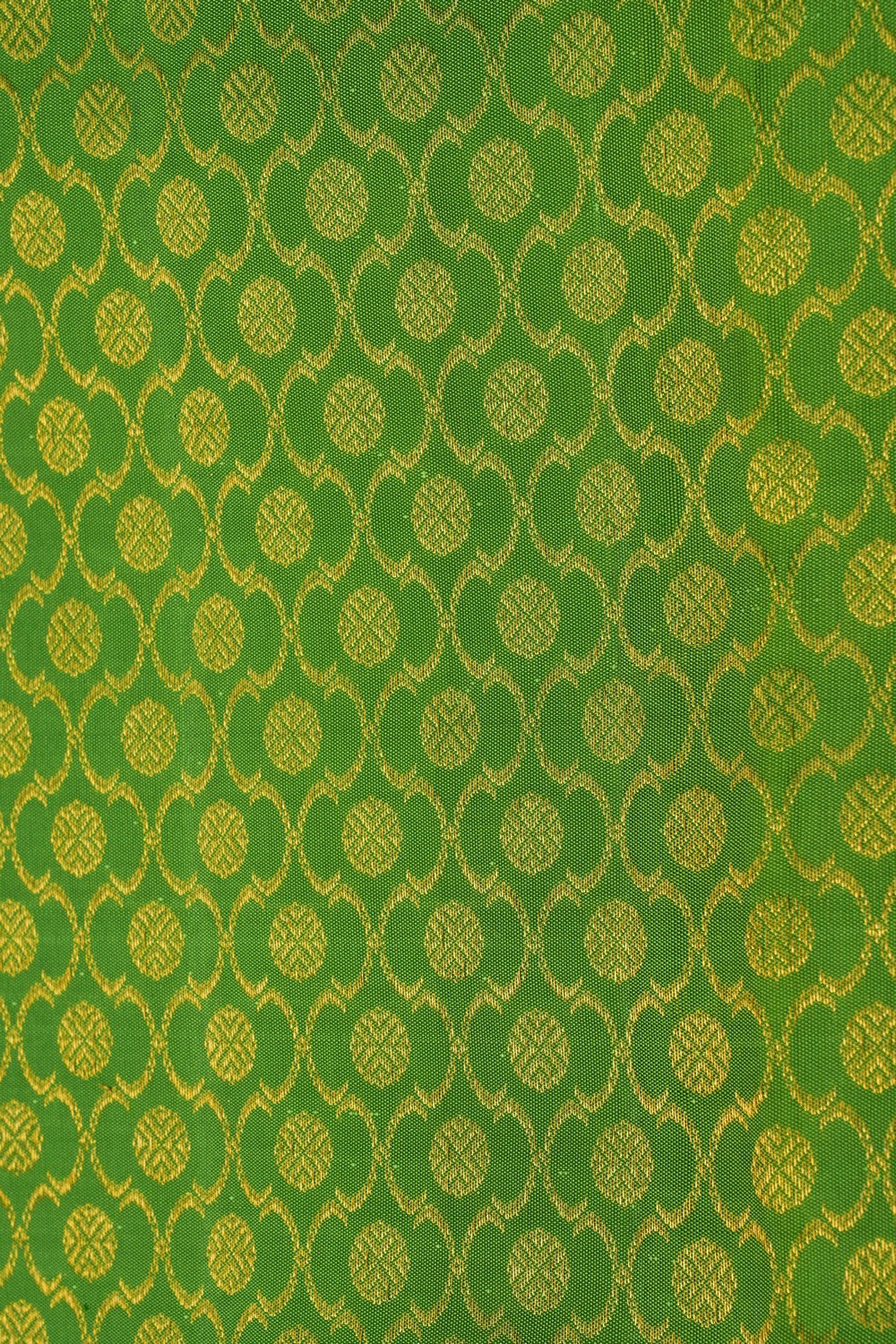 Image of Green Brocade Kanchipattu Saree