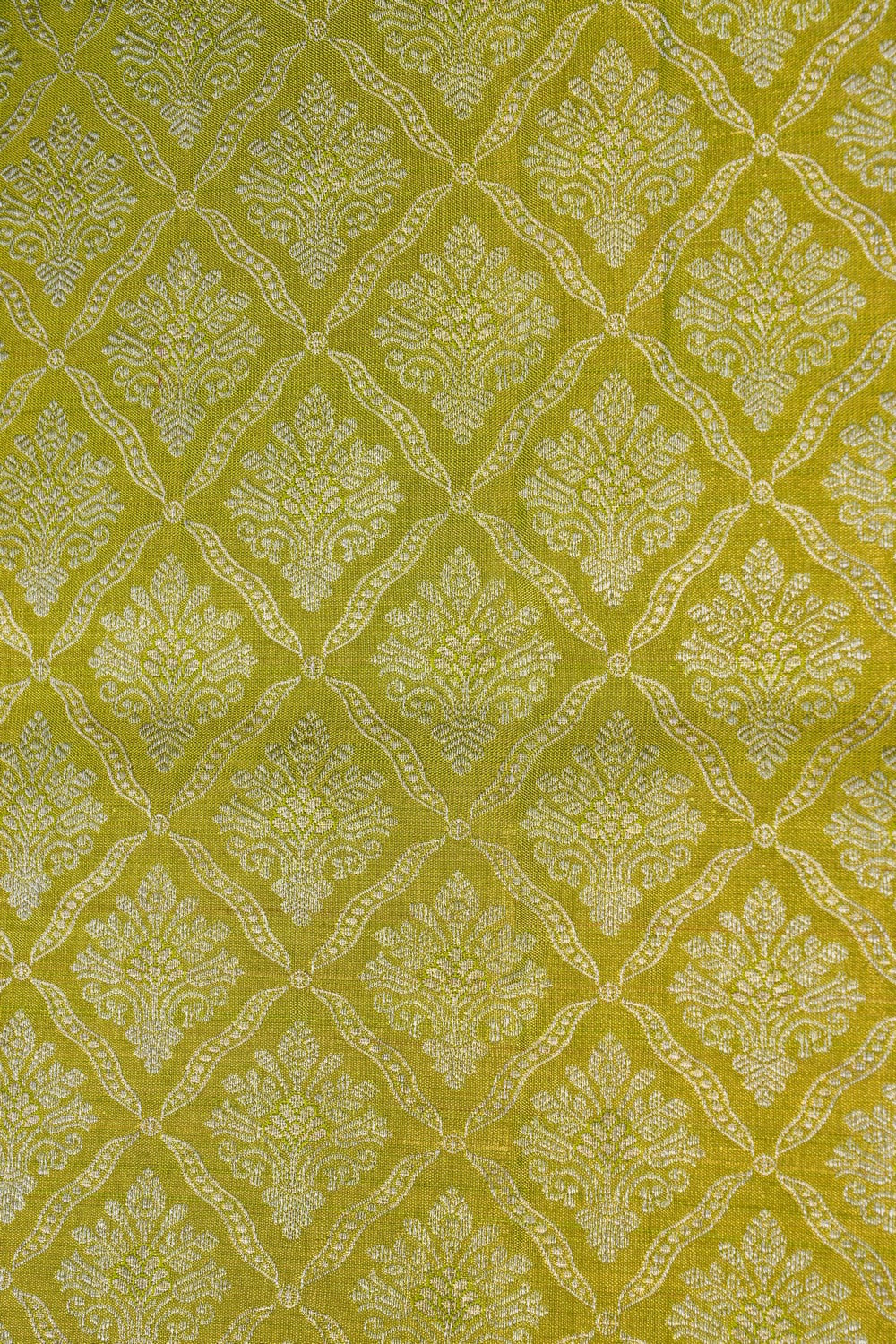 Image of Green Tissue Brocade Kanchipattu Saree