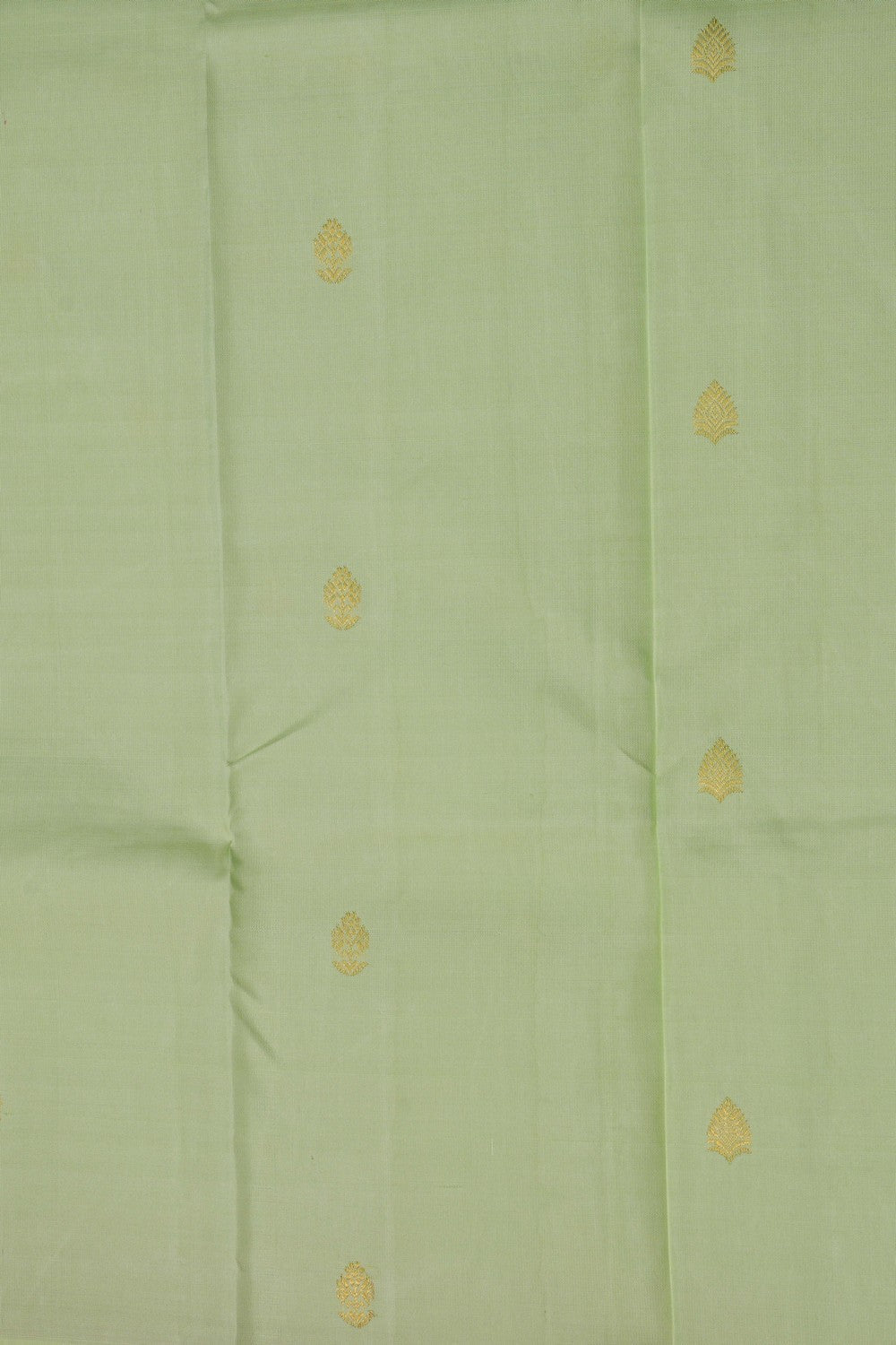 Image of Arani Silk Mint Green Saree