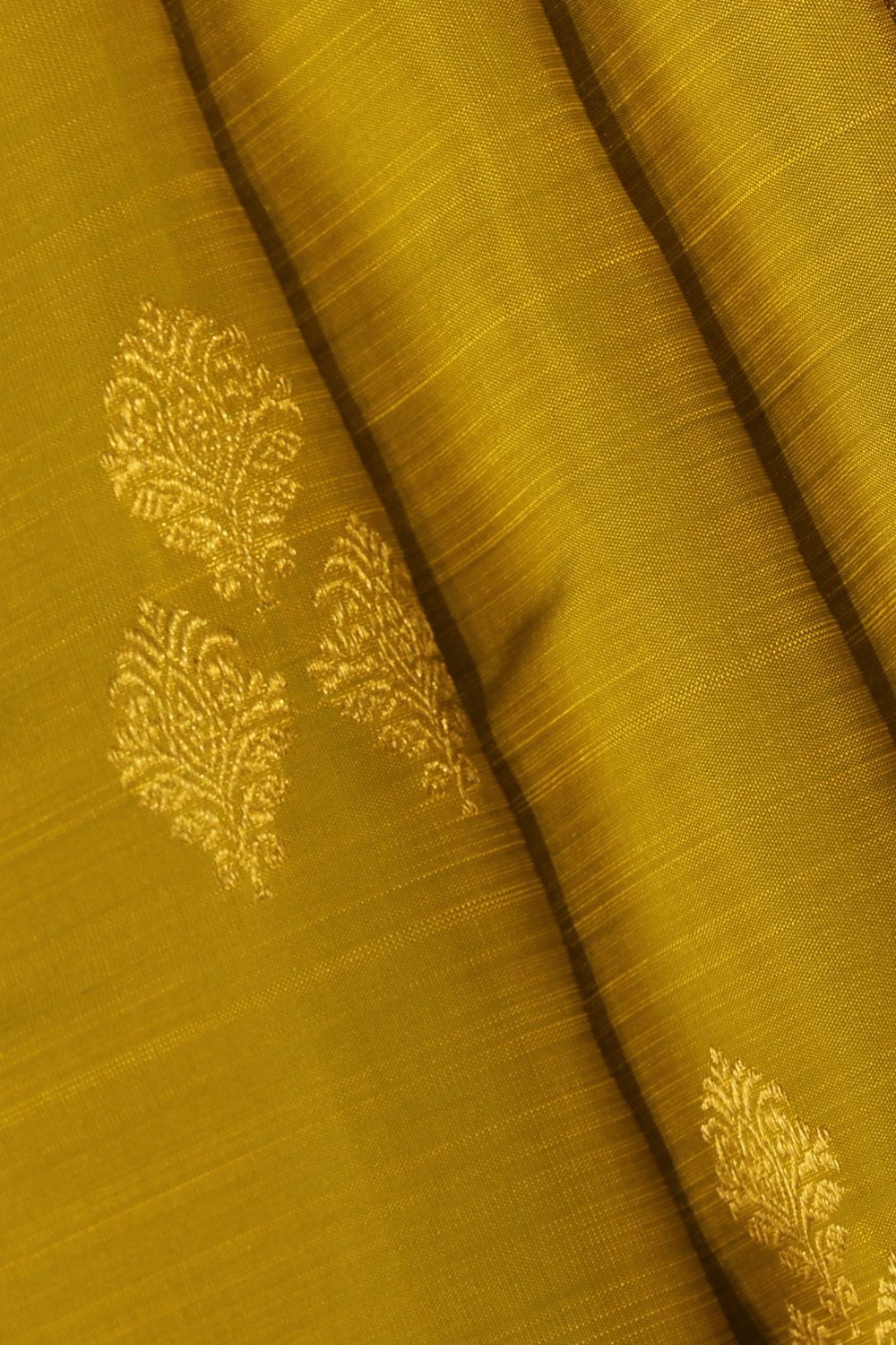 Image of Kanchipattu Spring-Green Saree
