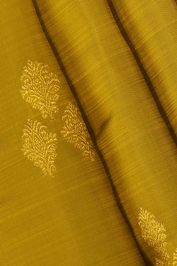 Collection of Kanchipattu Spring-Green Saree in a gallery layout