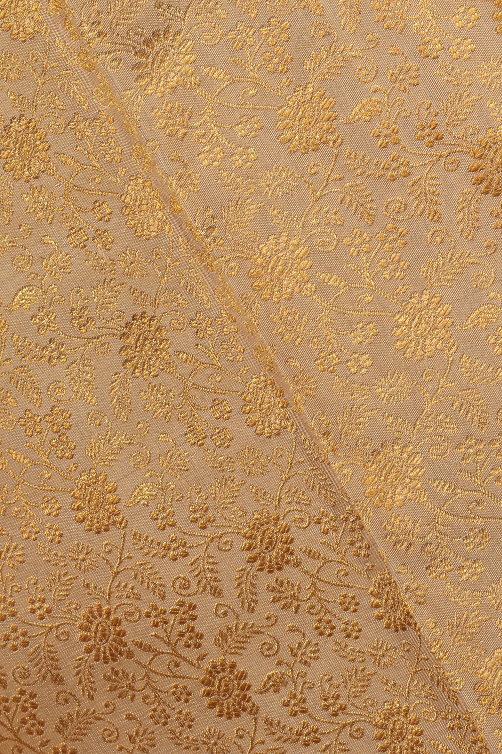 Collection of Kanchipattu Beige Saree in a gallery layout