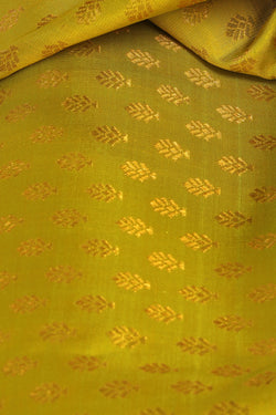 Collection of Kanchipattu Spring-Green Saree in a gallery layout