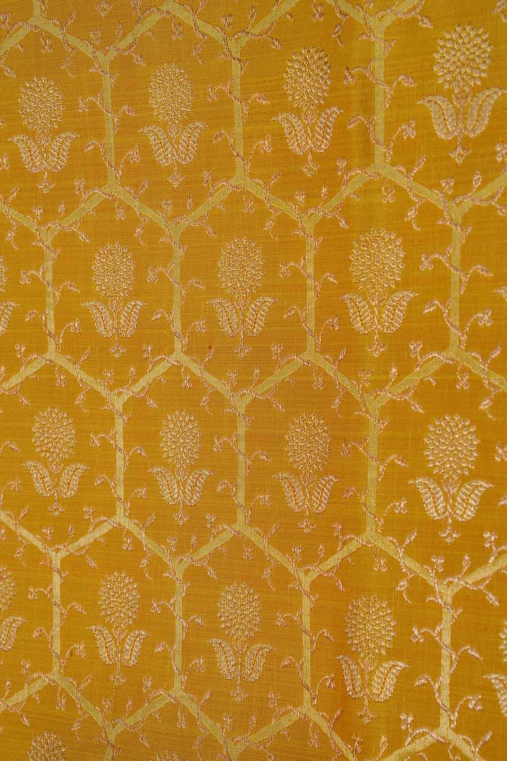 Image of Spring Yellow Brocade Kanchipattu Saree