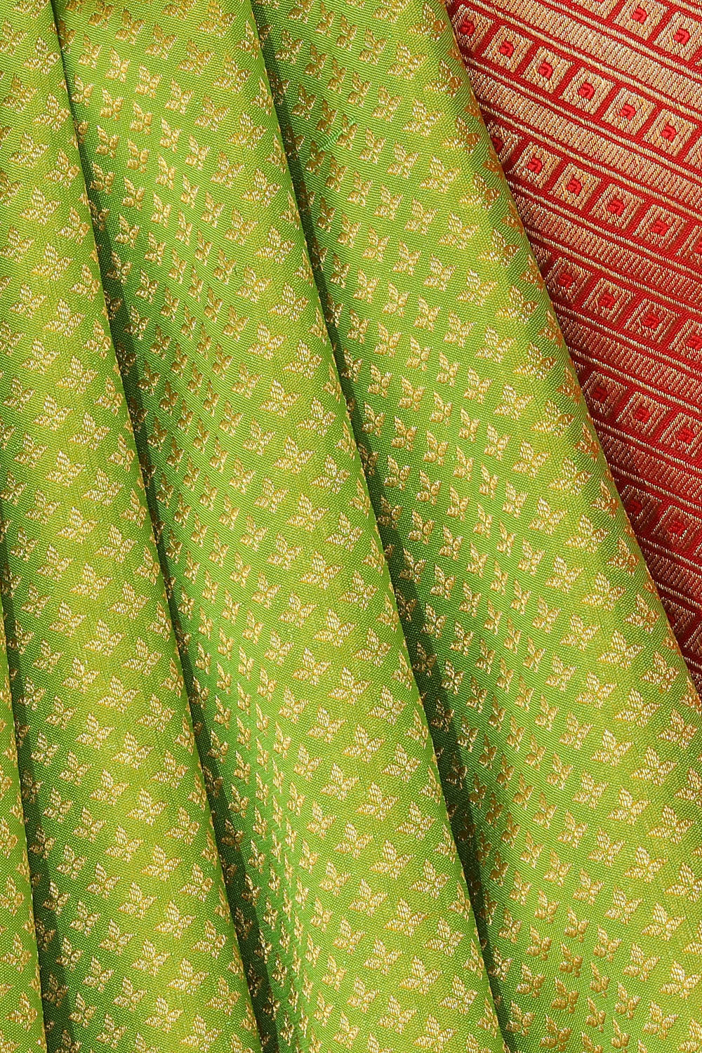 Image of Kanchipattu Green Saree