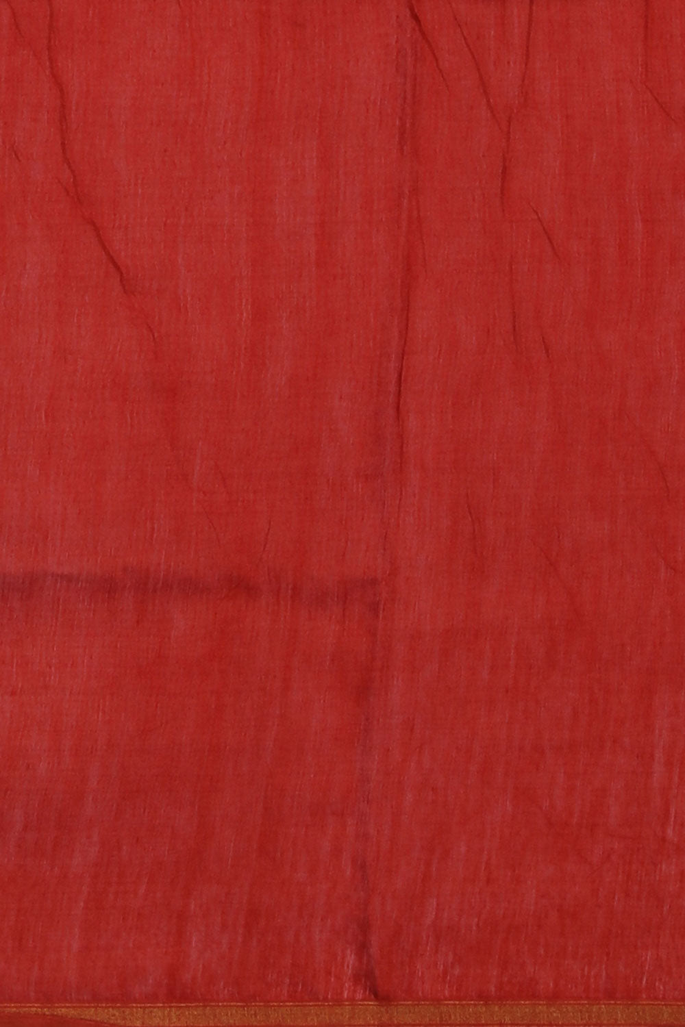 Image of Paisley Prints Saree