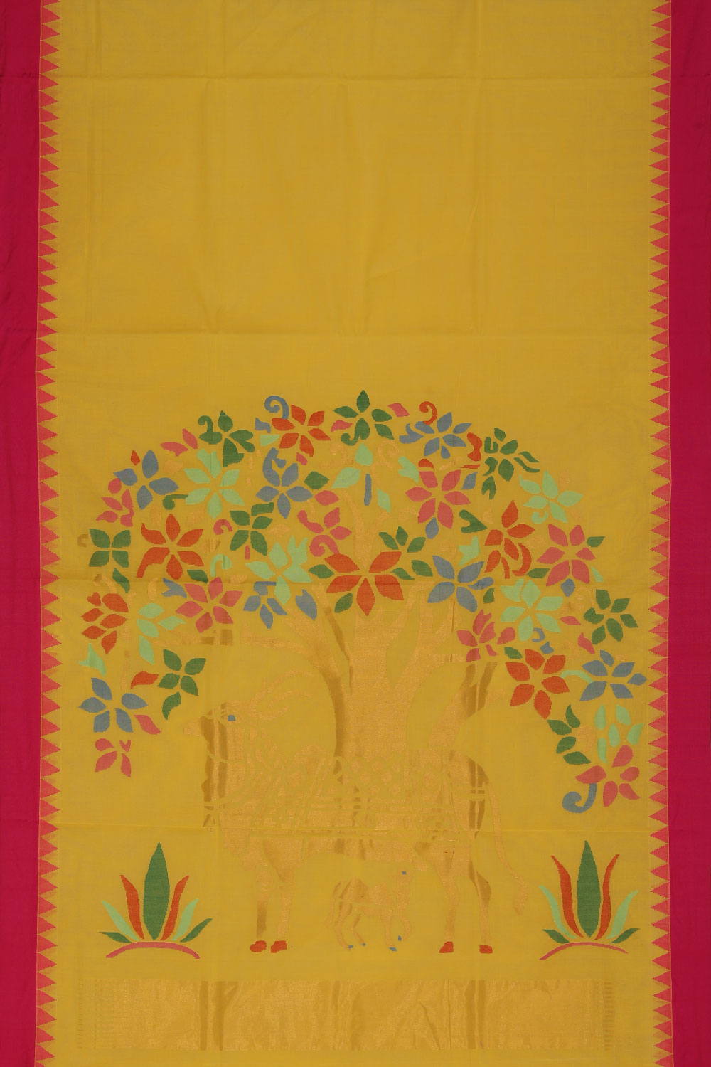 Collection of Uppada Cotton Yellow Saree in a gallery layout