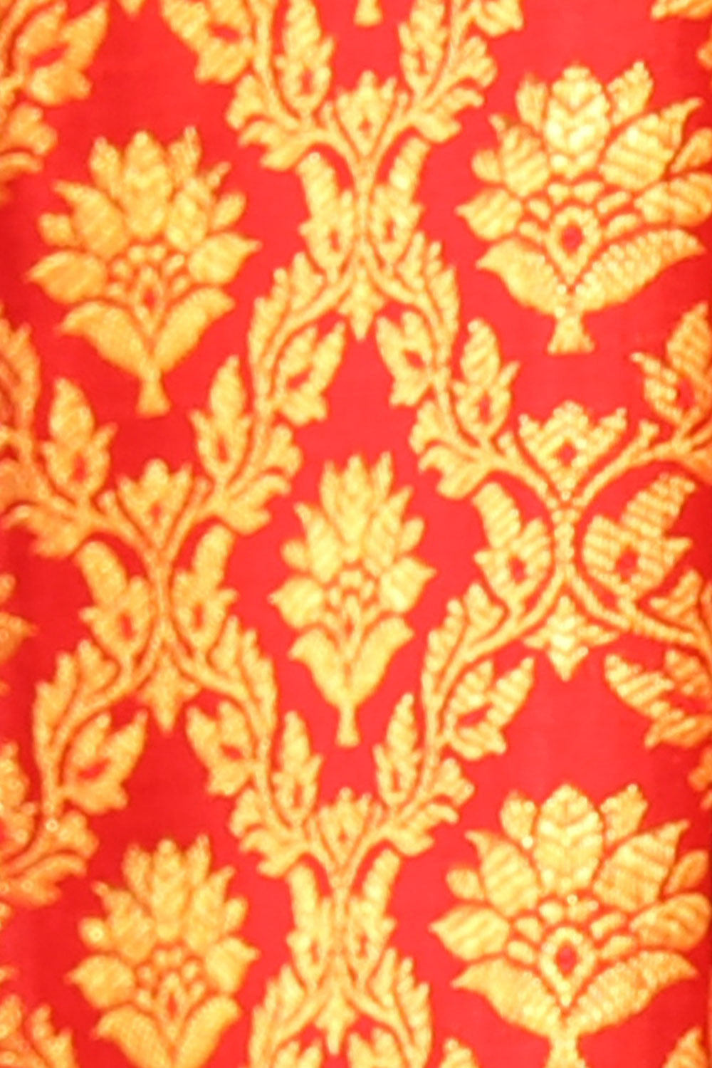 Collection of Kanchipattu Brocade Red Saree in a gallery layout