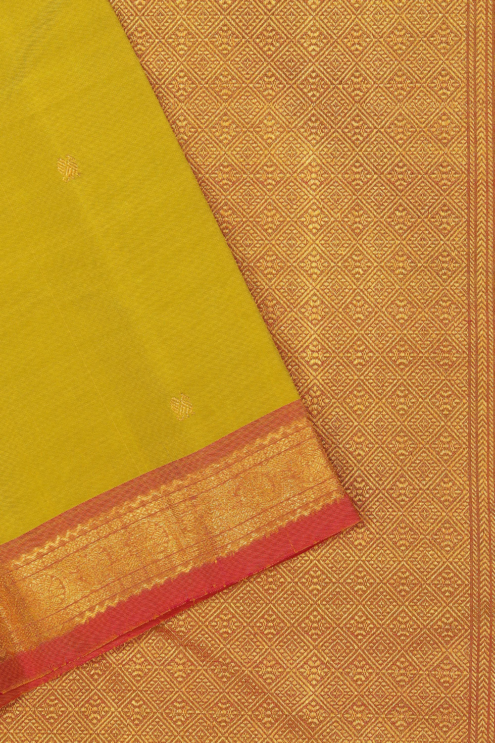 Image of Arani Silk Spring Green Saree
