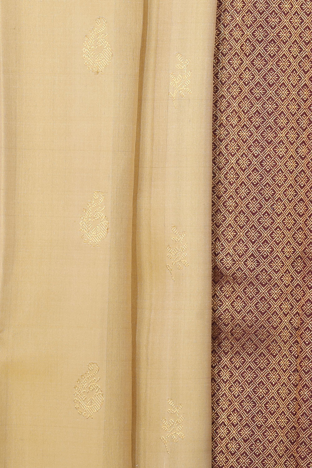 Image of Arani Silk Beige Saree