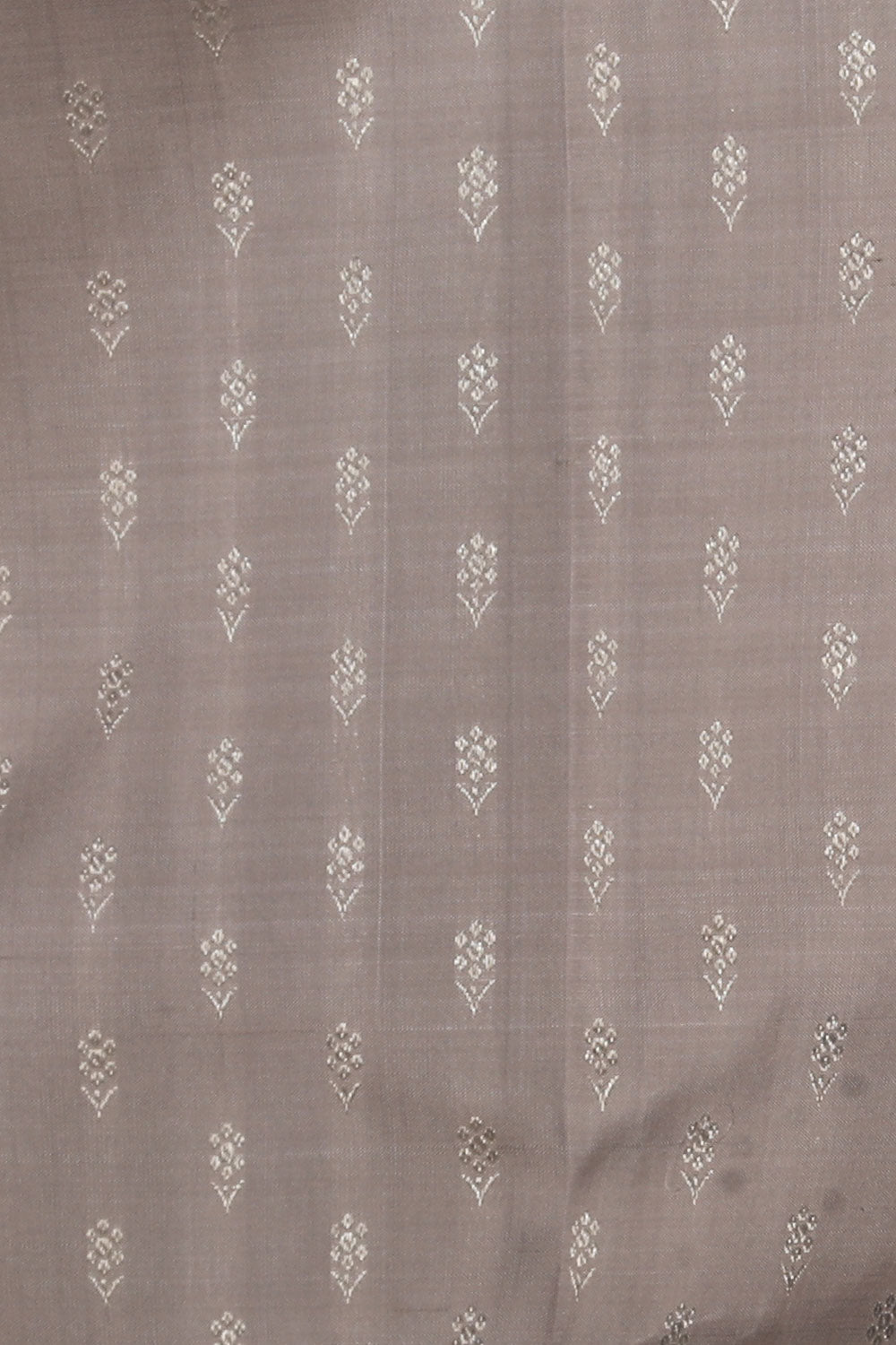 Collection of Arani Silk Grey Saree in a gallery layout