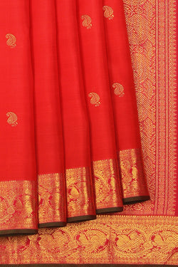 Collection of Kanchipuram Silk Red Saree in a gallery layout