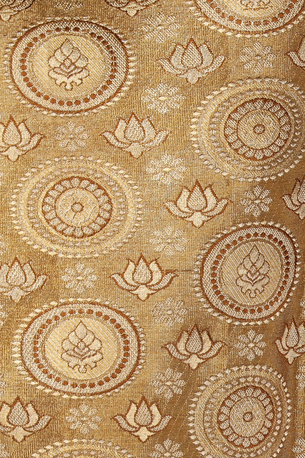 Kanchipattu Tissue Brocade Gold/Brown Saree