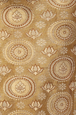 Image of Kanchipattu Tissue Brocade Gold/Brown Saree