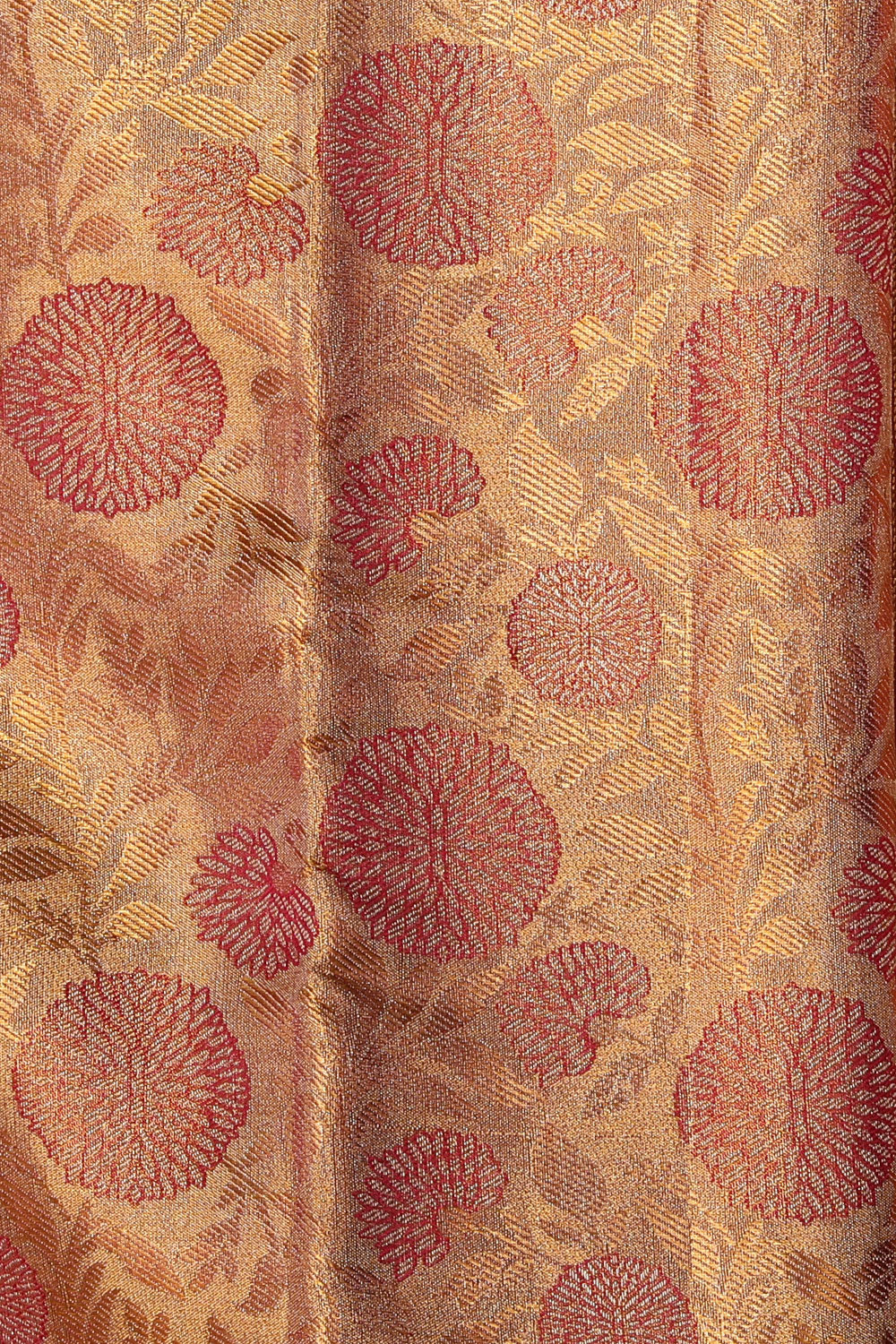 Collection of Kanchipattu Tissue Brocade Pink Saree in a gallery layout