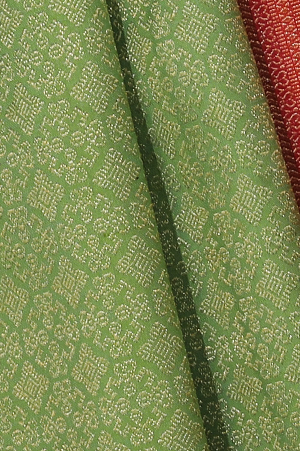 Image of Kanchipattu Mint Green Saree