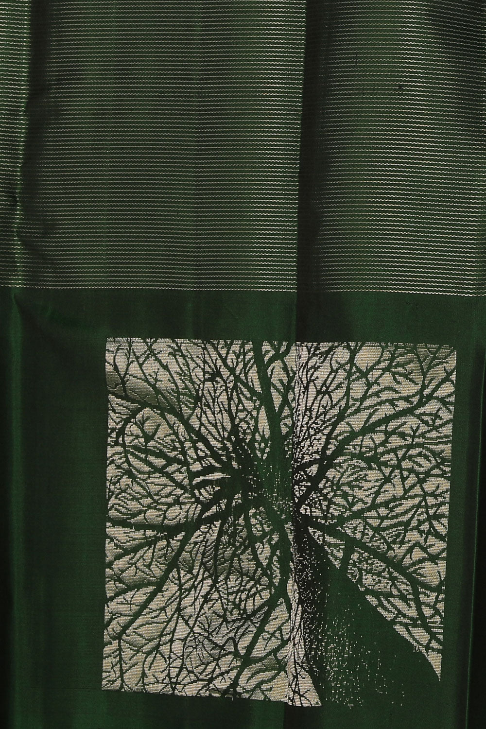 Image of Gorgeous Bottle Green Saree