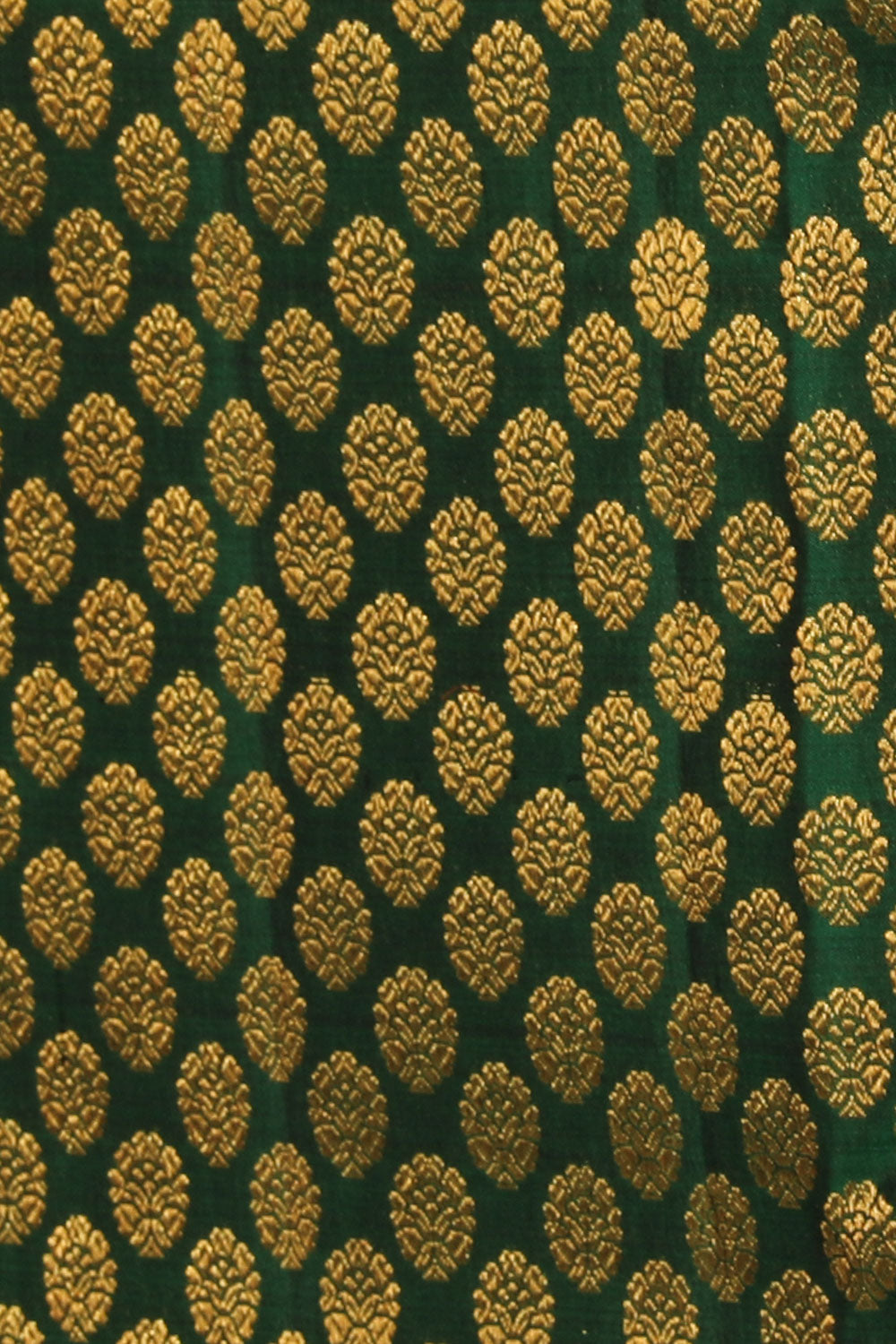 Kanchipattu Brocade Green Saree