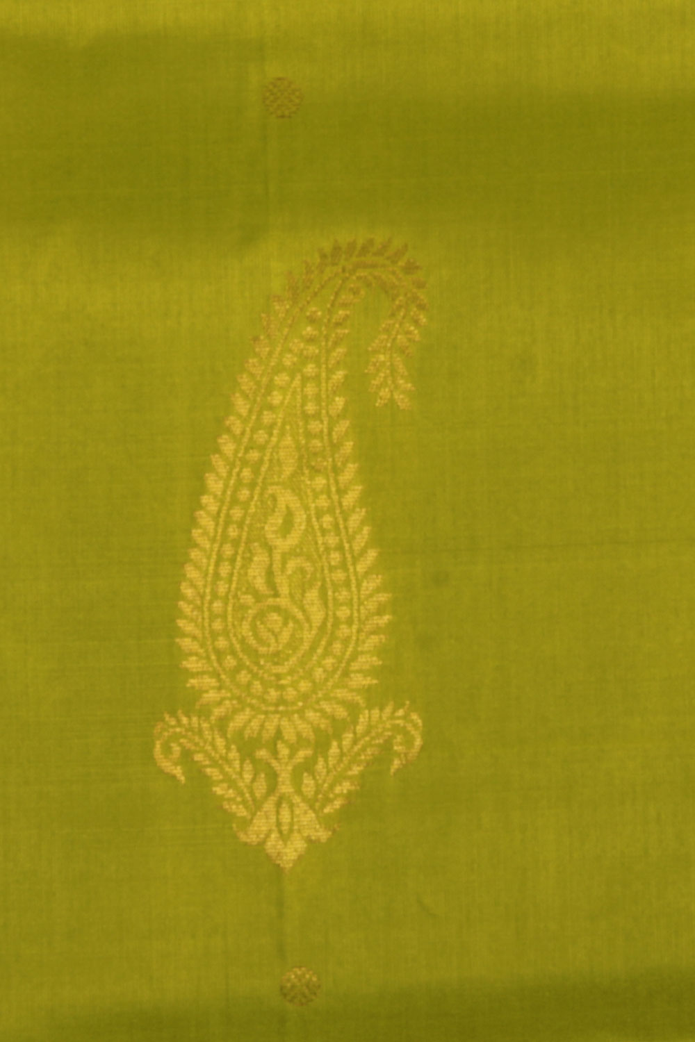 Image of Simple Yet Elegant Spring Green Saree