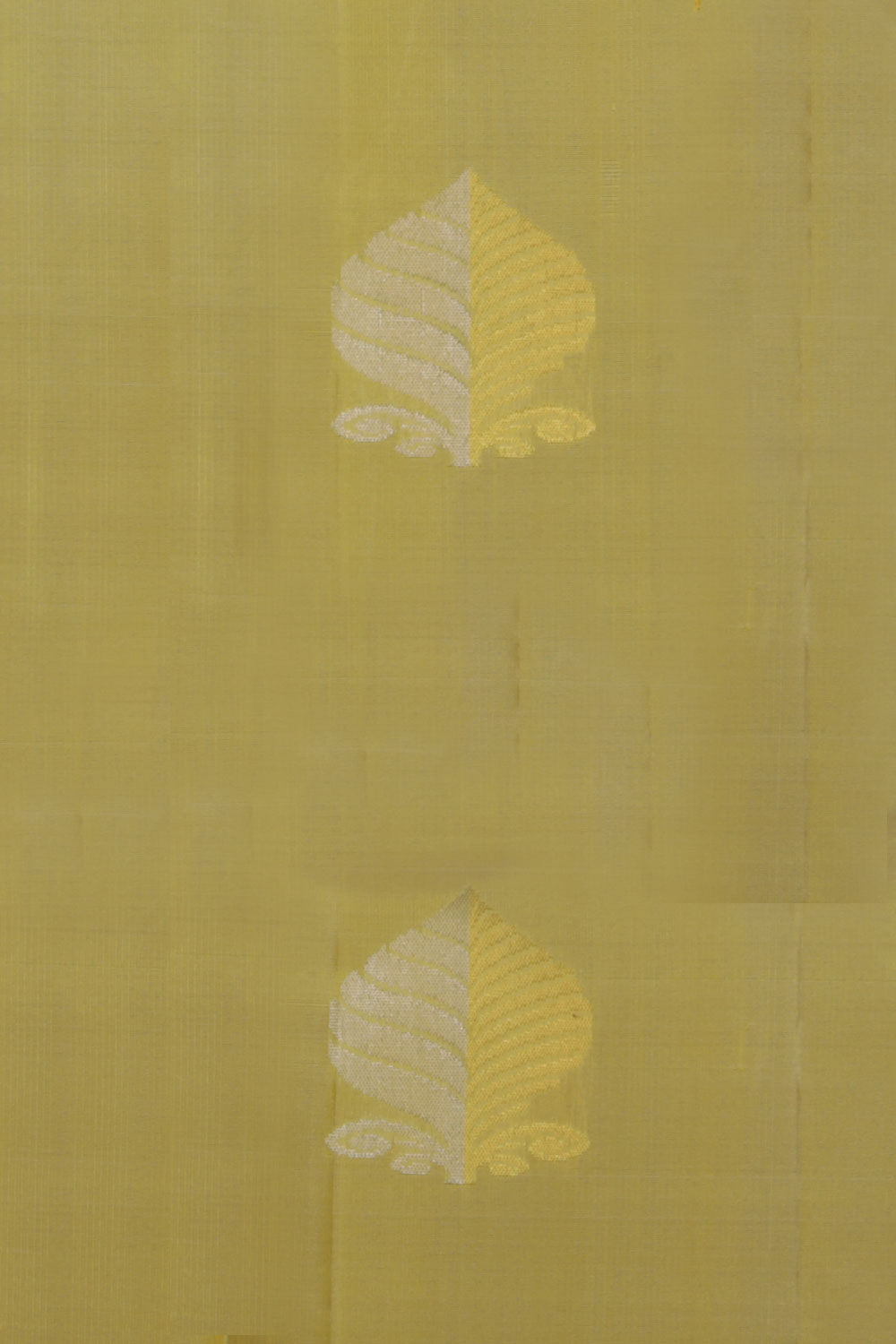 Image of Simple Yet Elegant Cream Saree