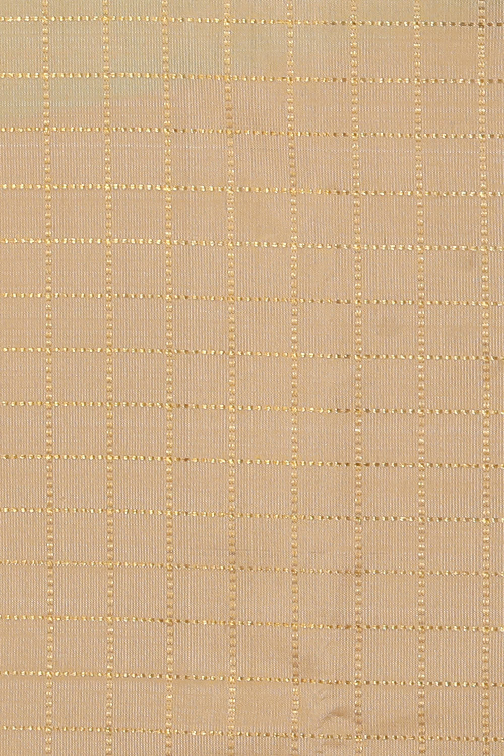 Image of Arani Silk Beige Saree