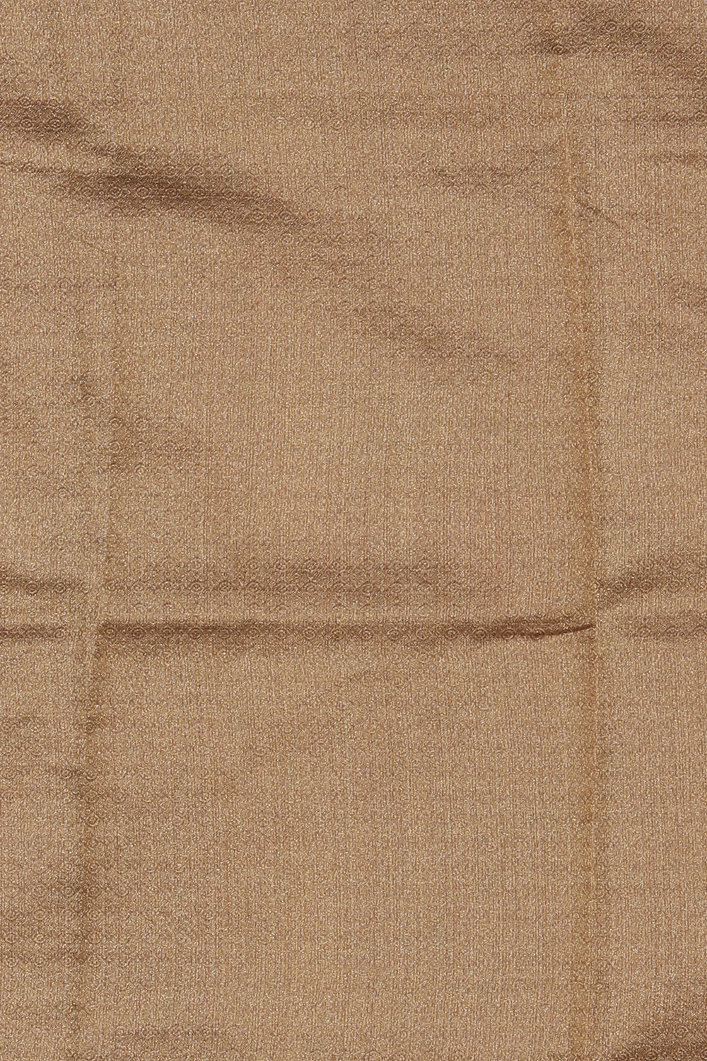 Image of Tissue Gold Saree