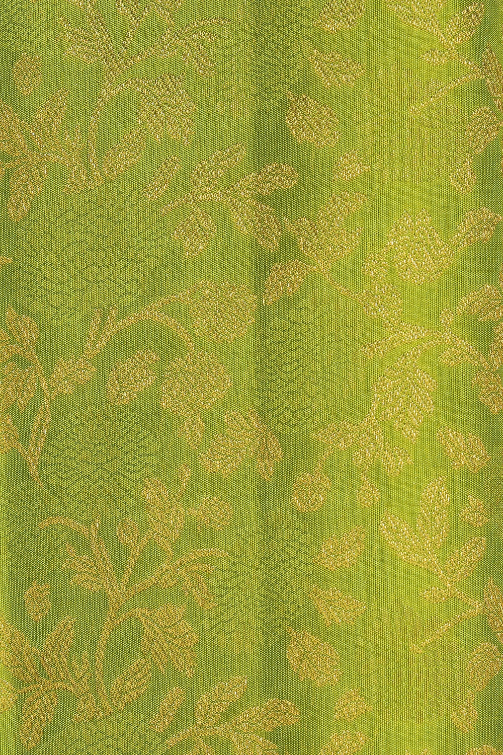 Kanchipattu Green Saree