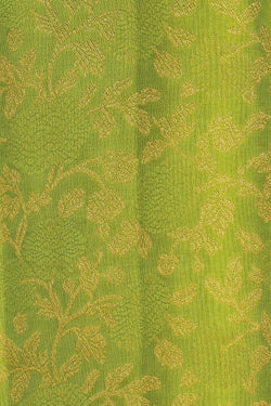 Image of Kanchipattu Green Saree