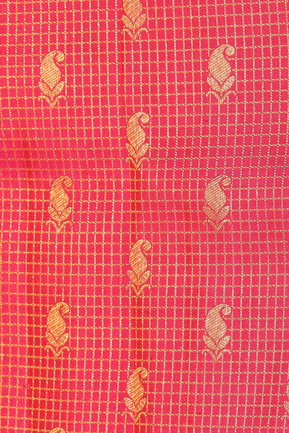 Kanchipattu Brocade Pink Saree