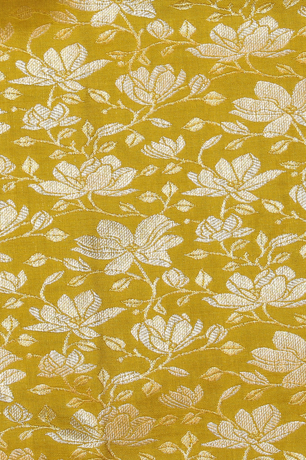 Image of Kanchipattu Brocade Sage Green Saree