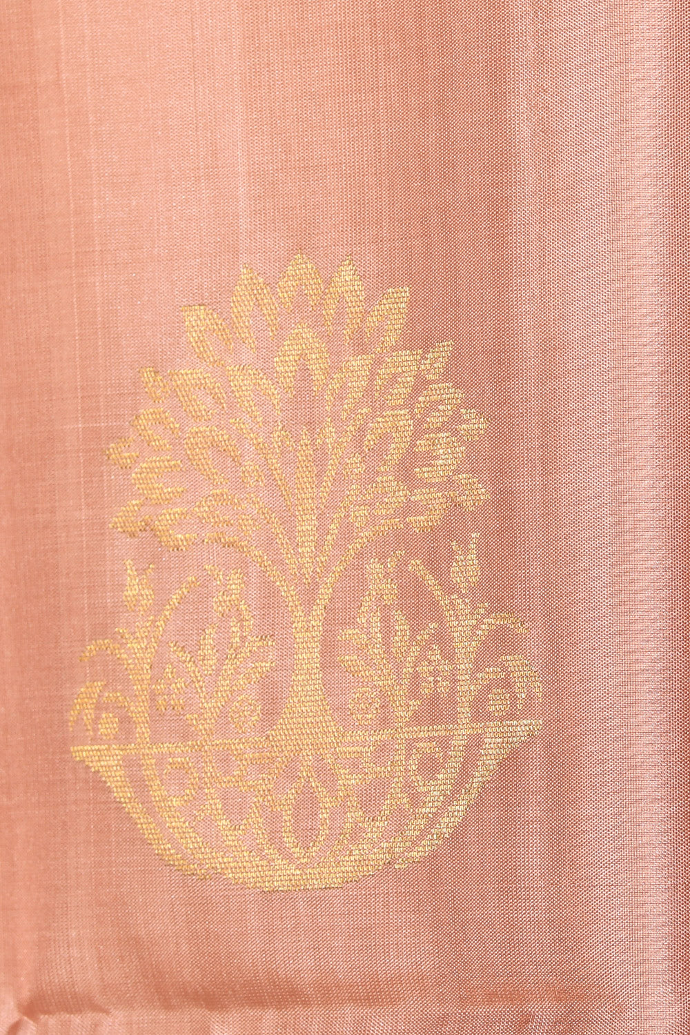 Collection of South Silk Beige Saree in a gallery layout