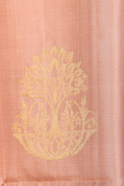 Collection of South Silk Beige Saree in a gallery layout