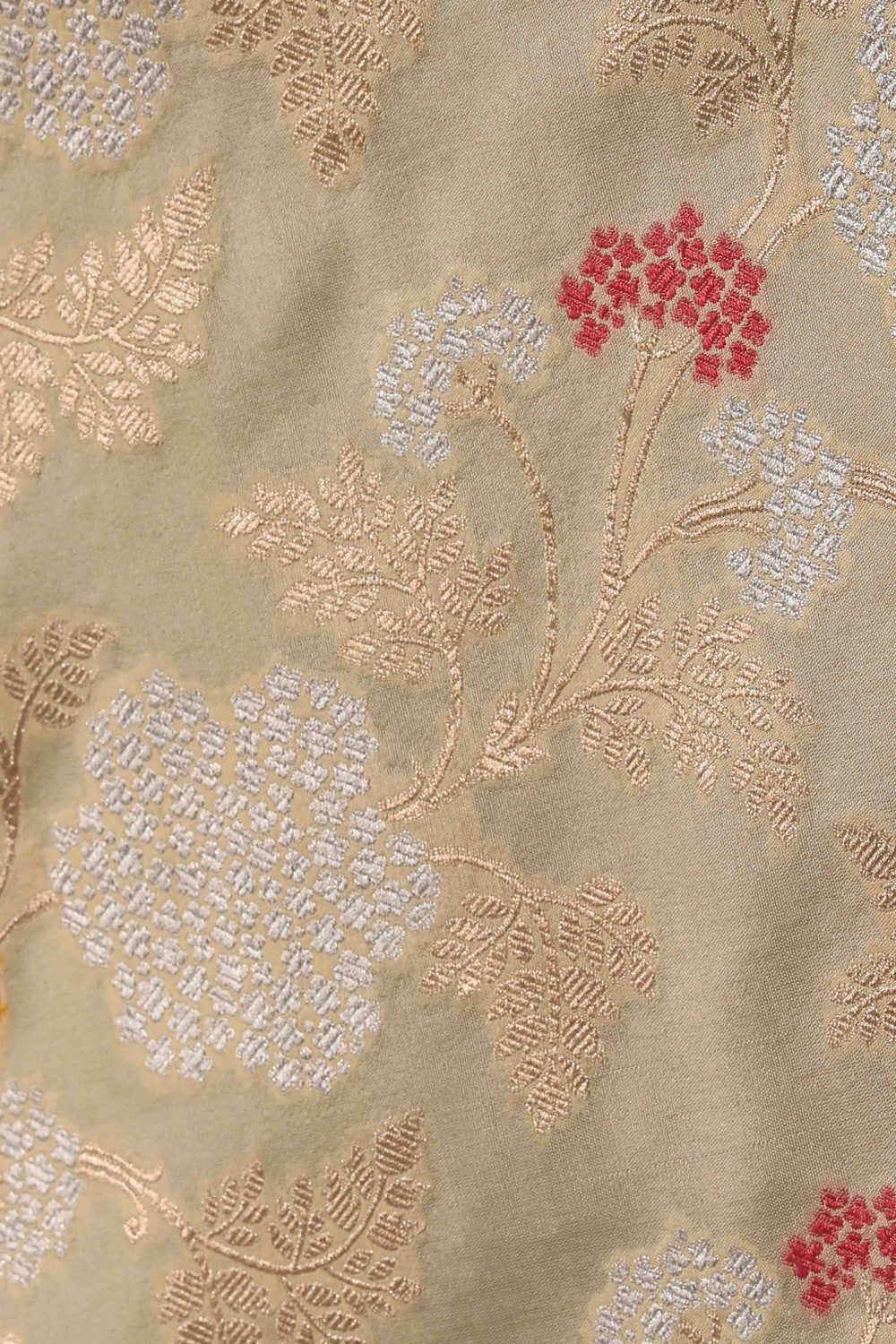 Image of Banarasi Silk Beige Saree