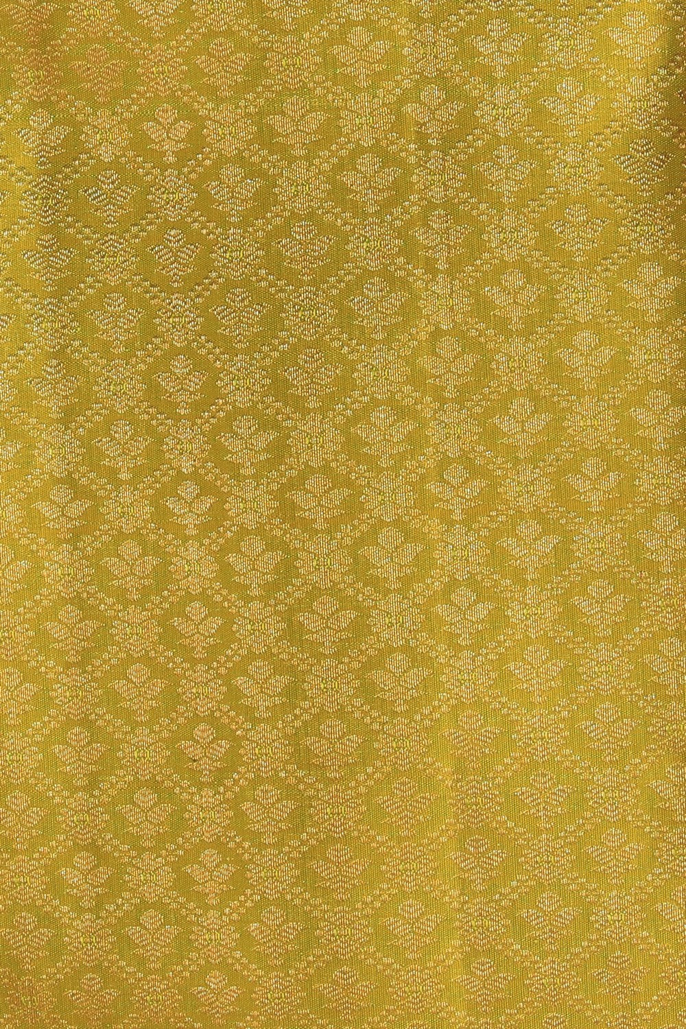 Kanchipattu Brocade Spring Green Saree