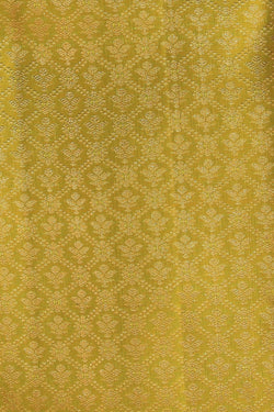 Image of Kanchipattu Brocade Spring Green Saree