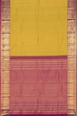 Image of Kanchipattu Brocade Spring Green Saree