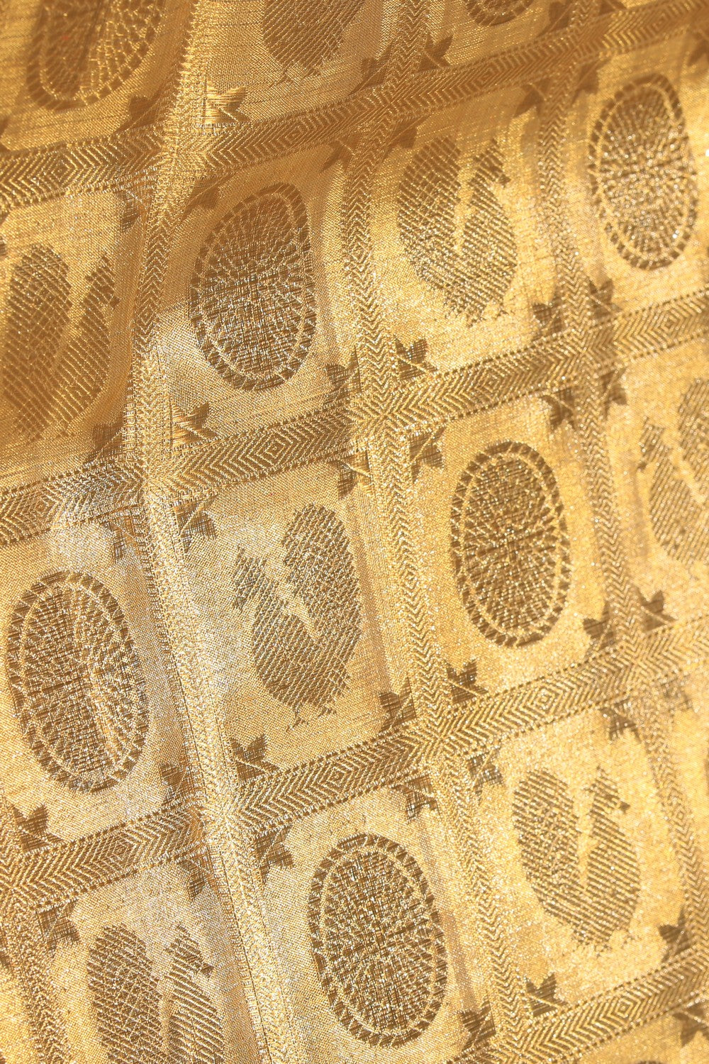 Image of Kanchipattu Tissue Brocade Gold Saree