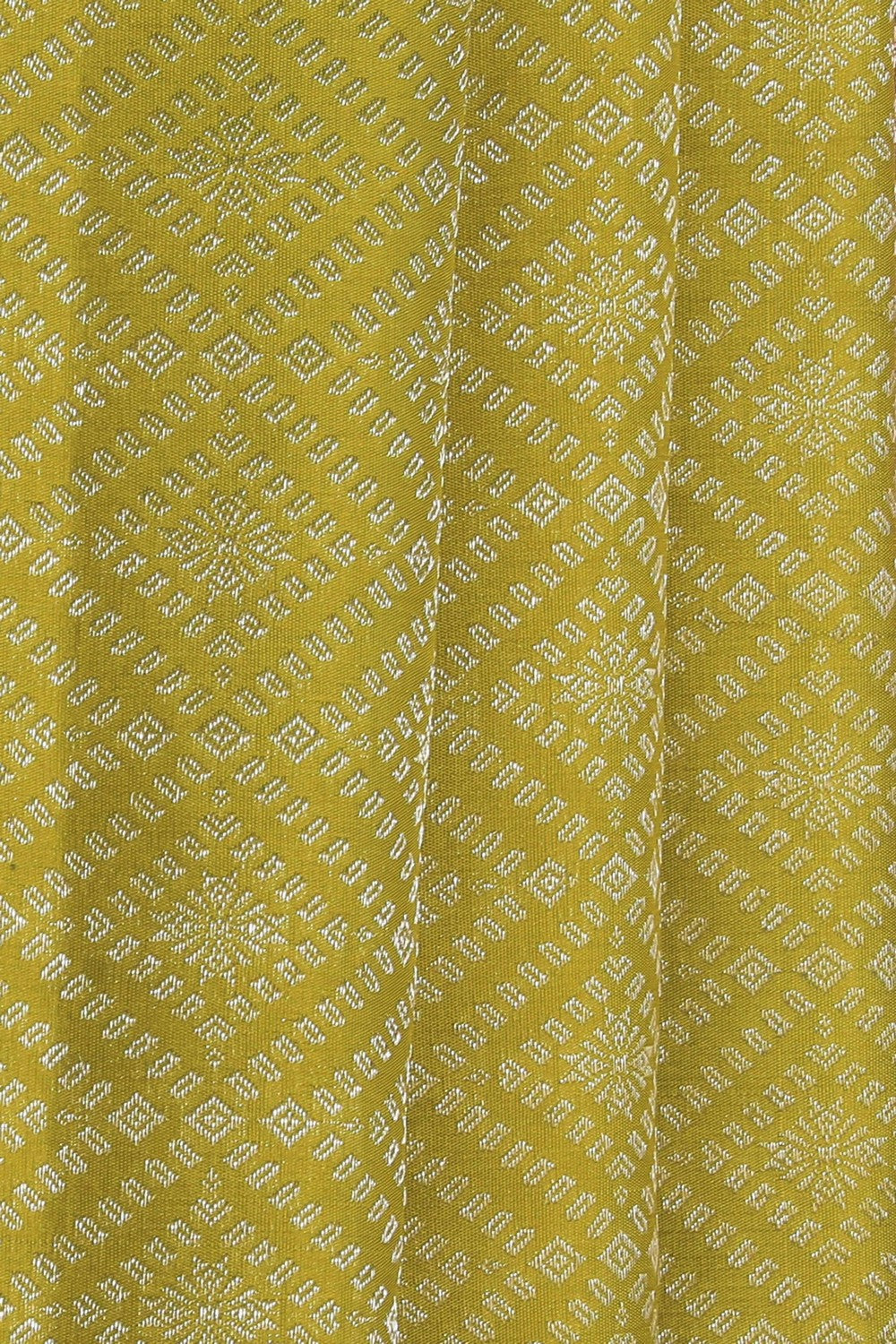 Image of Kanchipattu Brocade Spring Green Saree