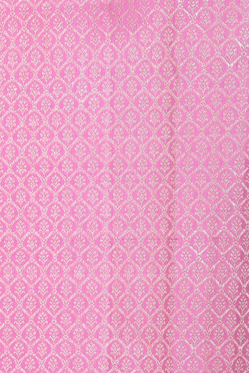 Collection of Kanchipattu Brocade Pink Saree in a gallery layout