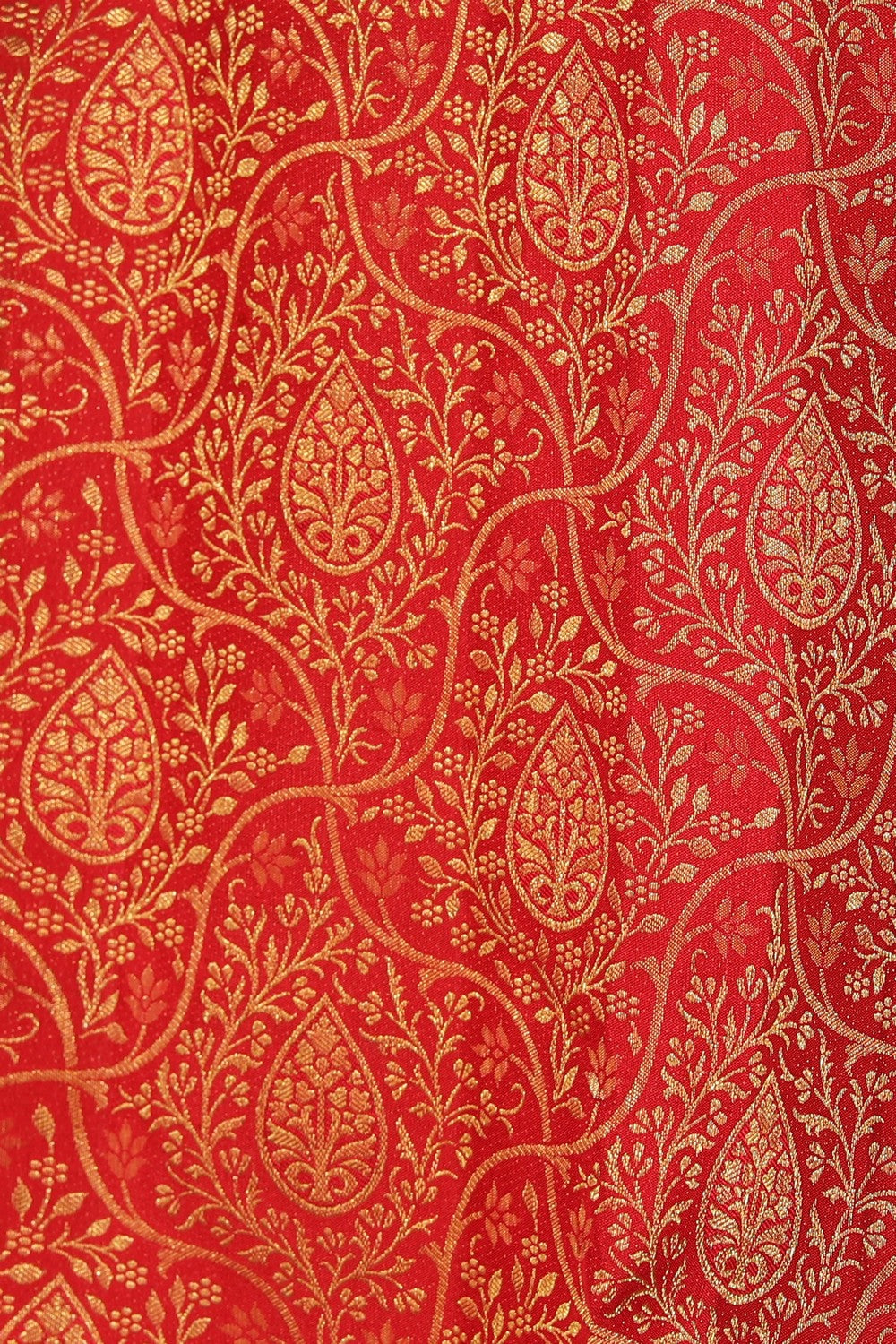 Collection of Kanchipattu Brocade Red Saree in a gallery layout