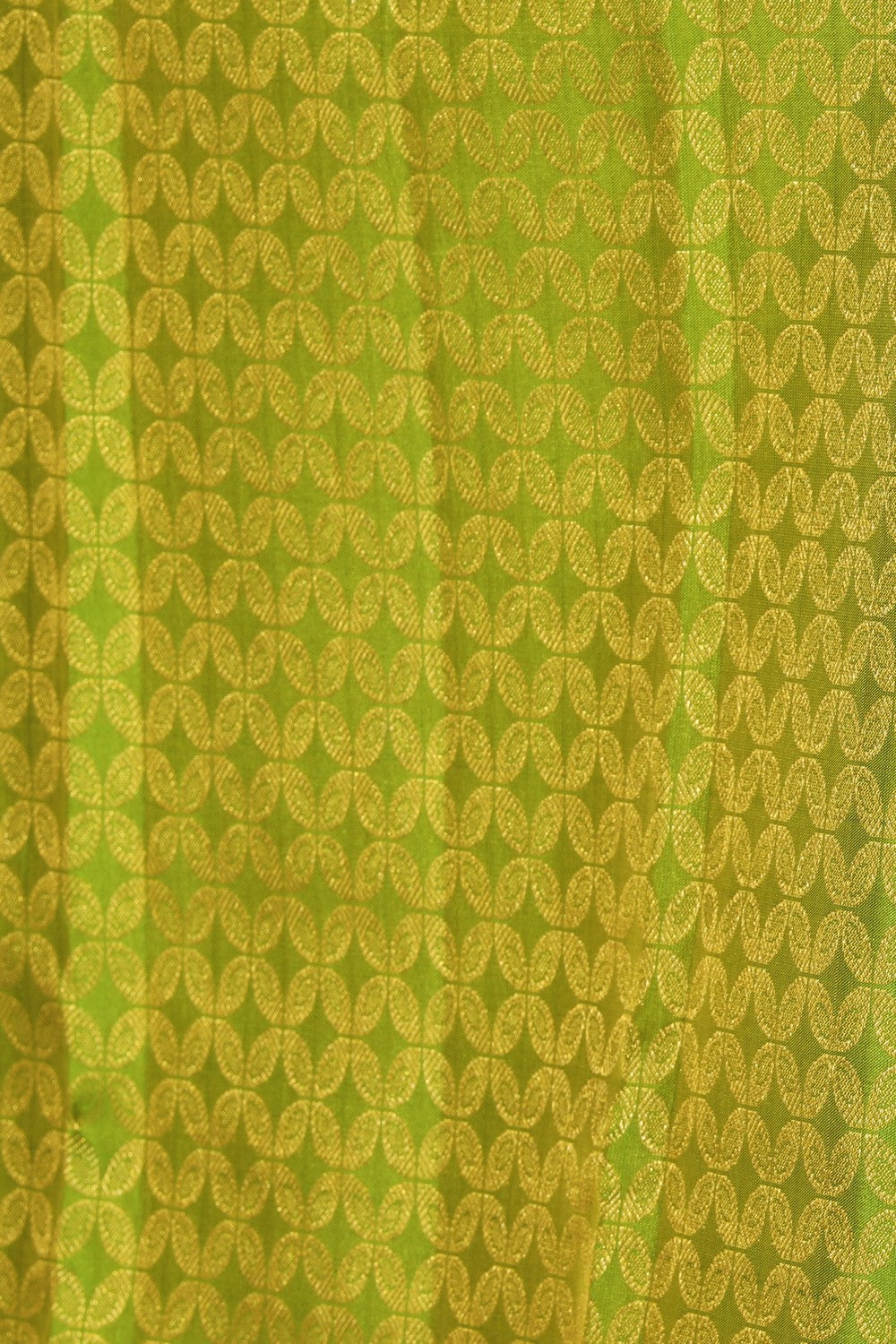 Collection of Kanchipattu Brocade Green Saree in a gallery layout