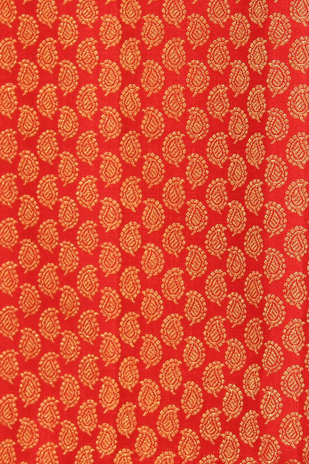 Collection of Kanchipattu Brocade Red Saree in a gallery layout