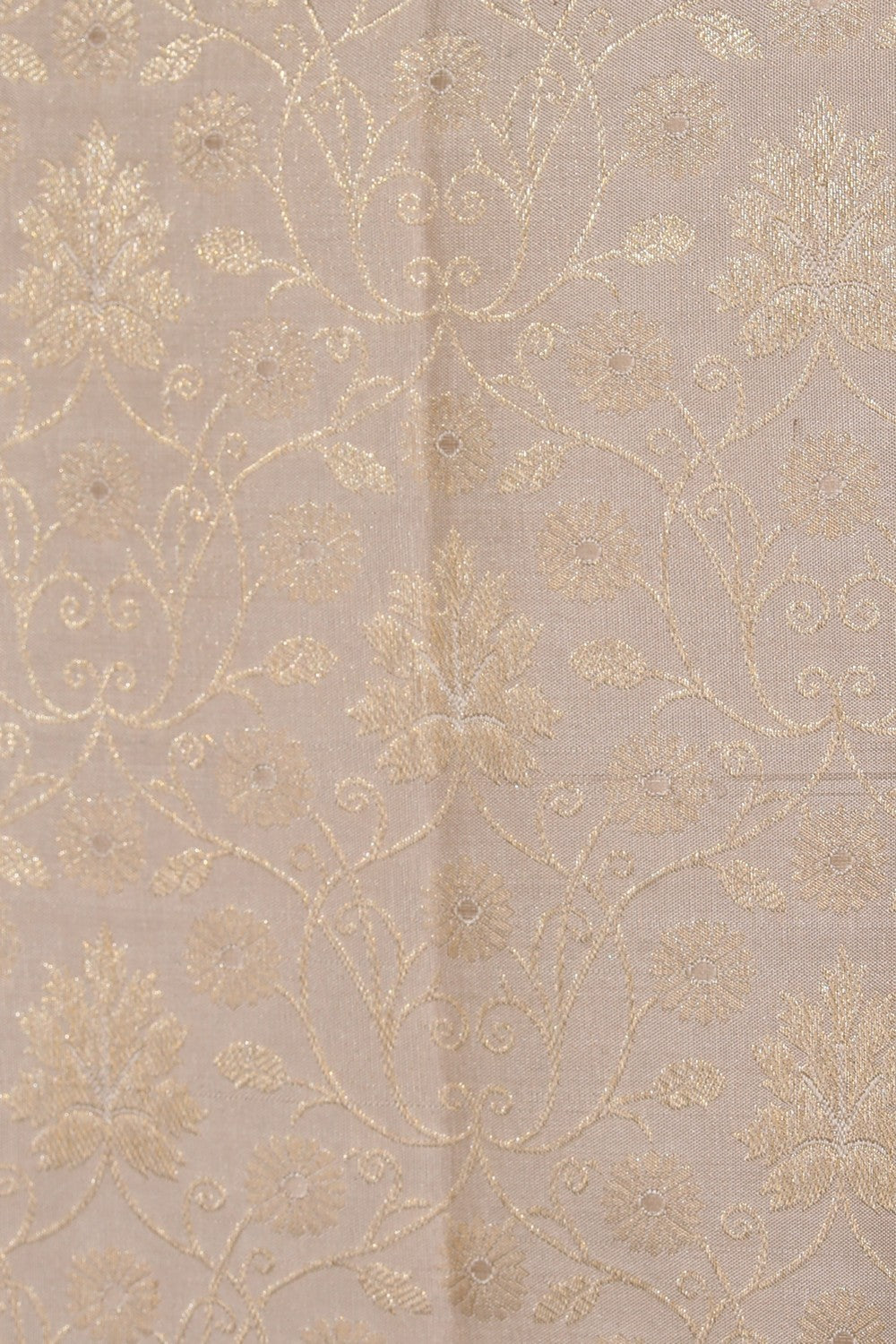 Collection of Kanchipattu Brocade Beige Saree in a gallery layout