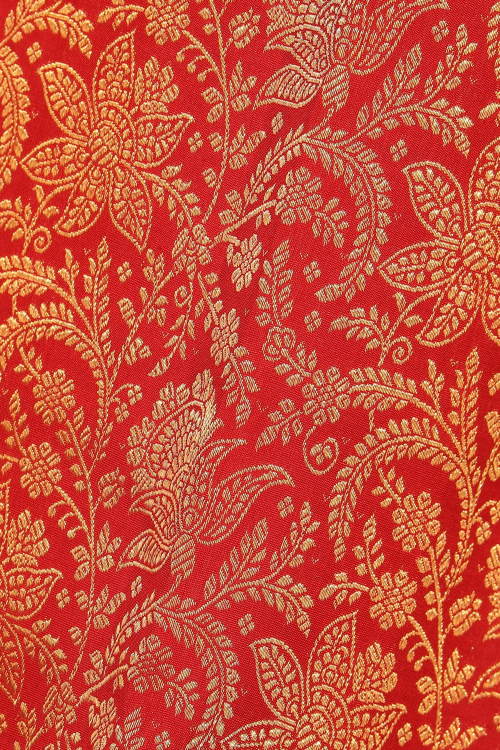 Collection of Kanchipattu Brocade Red Saree in a gallery layout