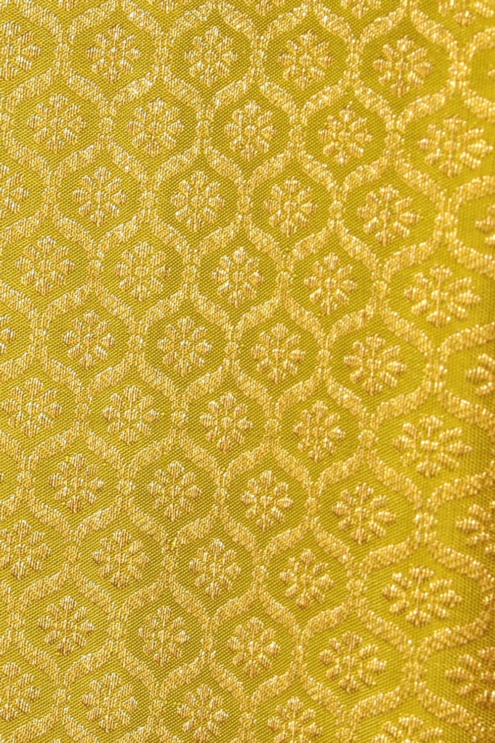 Collection of Kanchipattu Brocade Green Saree in a gallery layout