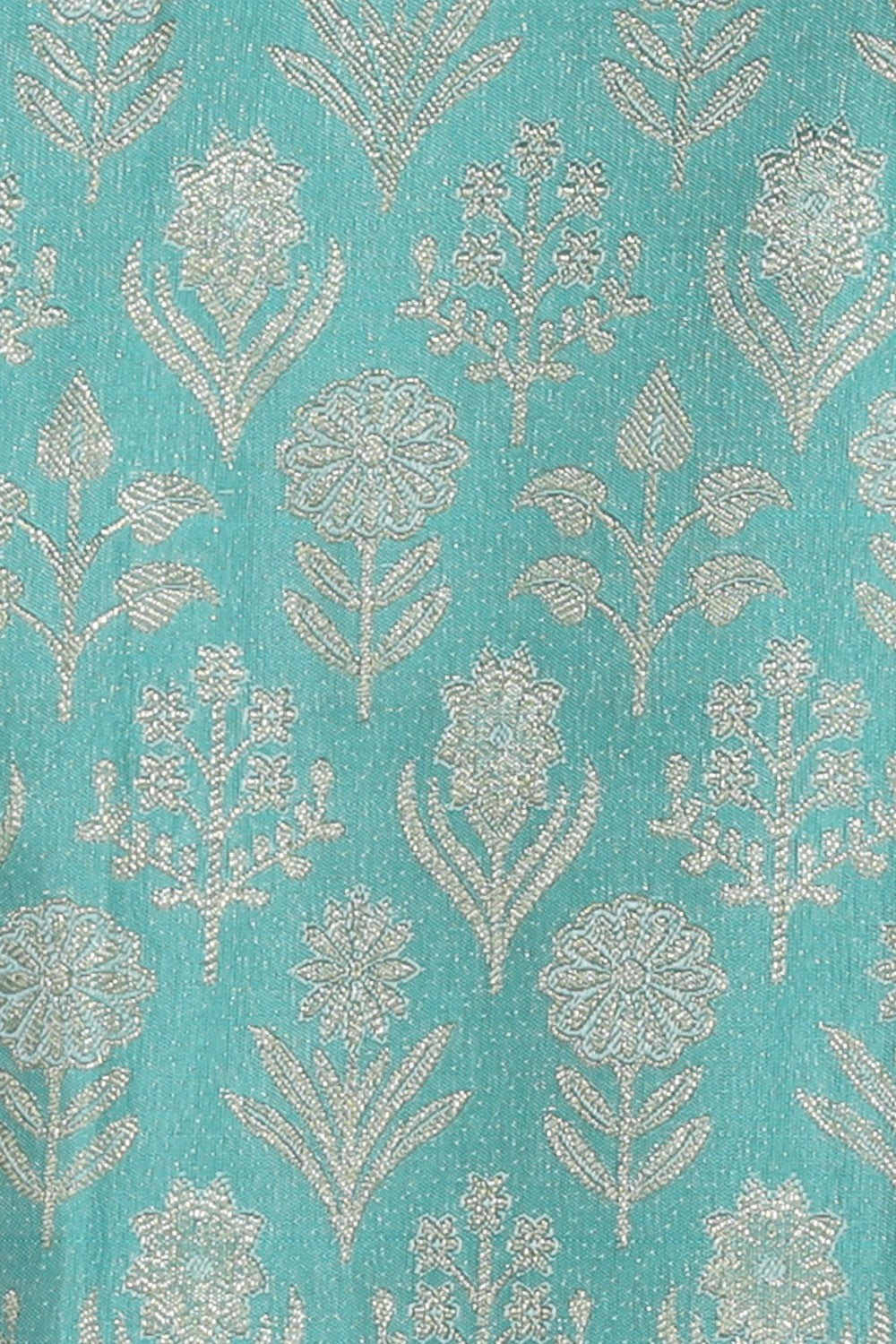 Collection of Kanchipattu Light Blue Brocade Saree in a gallery layout