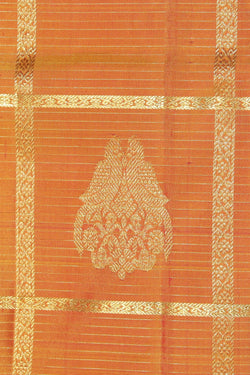 Image of Kanchipattu Peach Saree