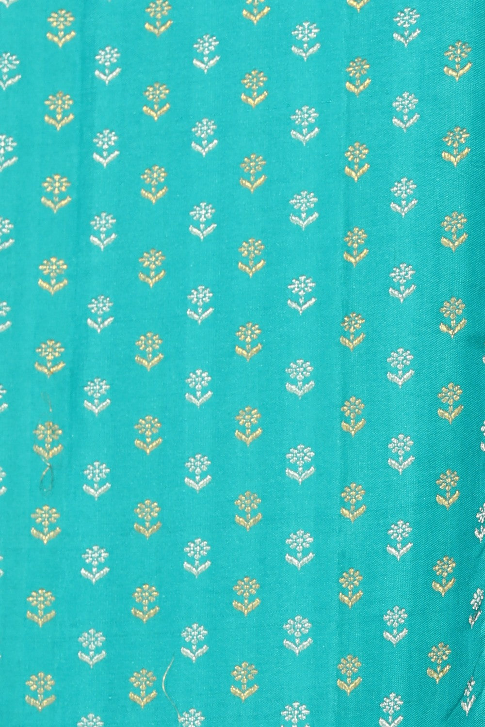 Collection of Kanchipattu Brocade Sea Green Saree in a gallery layout